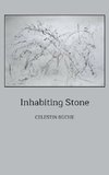 Inhabiting Stone