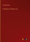 A Treatise on Criminal Law
