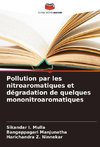 Pollution par les nitroaromatiques et dégradation de quelques mononitroaromatiques