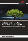 Voices and resistance from the plural South