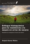 Enfoque histoquímico para la resistencia a la sequía en arroz de secano