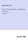 Goa And the Blue Mountains; Or, Six Months of Sick Leave