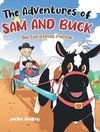 The Adventures of Sam and Buck
