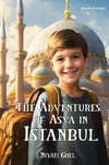 The Adventures of Asva in Istanbul