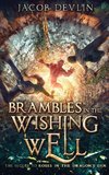Brambles in the Wishing Well
