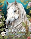 Livre à colorier sur les chevaux