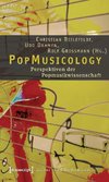 PopMusicology