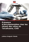 Présence d'Ancylostomidea chez les chiens des villes de Talcahuano, Chili