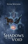 Shadows of the Void