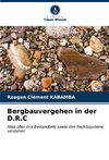 Bergbauvergehen in der D.R.C