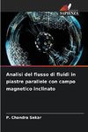 Analisi del flusso di fluidi in piastre parallele con campo magnetico inclinato