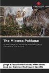The Mixteca Poblana: