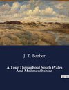A Tour Throughout South Wales And Monmouthshire