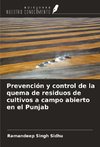Prevención y control de la quema de residuos de cultivos a campo abierto en el Punjab