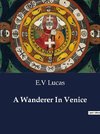 A Wanderer In Venice