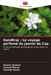 Gandhraj : Le voyage parfumé du jasmin du Cap