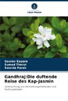 Gandhraj:Die duftende Reise des Kap-Jasmin