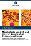 Morphologie von ZNS und inneren Organen bei Hypometabolismus