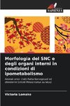 Morfologia del SNC e degli organi interni in condizioni di ipometabolismo