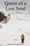 Quest of a Lost Soul