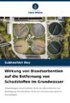 Wirkung von Bioadsorbentien auf die Entfernung von Schadstoffen im Grundwasser