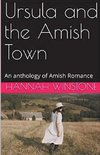 Ursula and the Amish Town