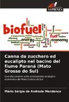 Canna da zucchero ed eucalipto nel bacino del fiume Paraná (Mato Grosso do Sul)