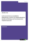 Lebensmittelwissenschaftliche Erkenntnisse. Analyse der Maillard-Reaktion, Emulsionsbildung und biochemischen Transformationen
