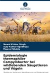 Epidemiologie thermophiler Campylobacter bei wildlebenden Säugetieren und Vögeln