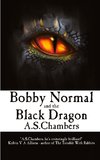 Bobby Normal and the Black Dragon