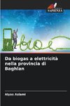 Da biogas a elettricità nella provincia di Baghlan