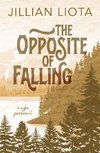 The Opposite of Falling