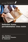 Defectos óseos periodontales: Una visión