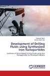 Development of Drilling Fluids using Synthesized Iron Nanoparticles