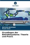 Grundlagen der Betriebssysteme: Theorie und Praxis