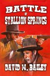 Battle of Stallion Springs