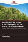 Production de Pinus elliottii Engelm. et de Pinus caribaea Morelet