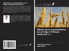 Efecto de la azoxistrobina en el trigo (Triticum aestivum L.)