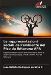 Le rappresentazioni sociali dell'ambiente nel Pico da Ibituruna APA