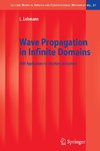 Wave Propagation in Infinite Domains