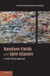 Random Fields and Spin Glasses