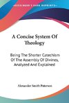 A Concise System Of Theology