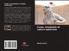 Corps, ornements et culture matérielle