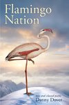 Flamingo Nation