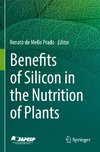 Benefits of Silicon in the Nutrition of Plants