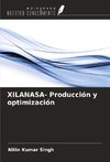 XILANASA- Producción y optimización