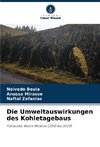 Die Umweltauswirkungen des Kohletagebaus