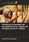 Prácticas de gestión de los búfalos en la región de Vindhya de M.P. (India)