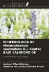 ECOFISIOLOGÍA DE Mesosphaerum suaveolens (L.) Kuntze BAJO SALINIDAD DE