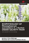 ECOPHYSIOLOGY OF Mesosphaerum suaveolens (L.) Kuntze UNDER SALINITY FROM